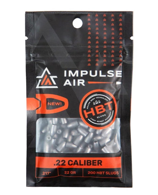 HOLLOW BODY TECHNOLOGY .22 CALIBER SLUGS