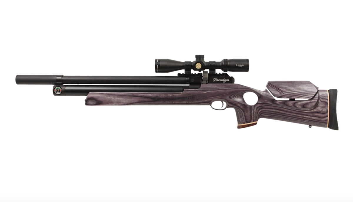 Paradigm Air Rifles American Air Arms Evol Paradigm .30 18