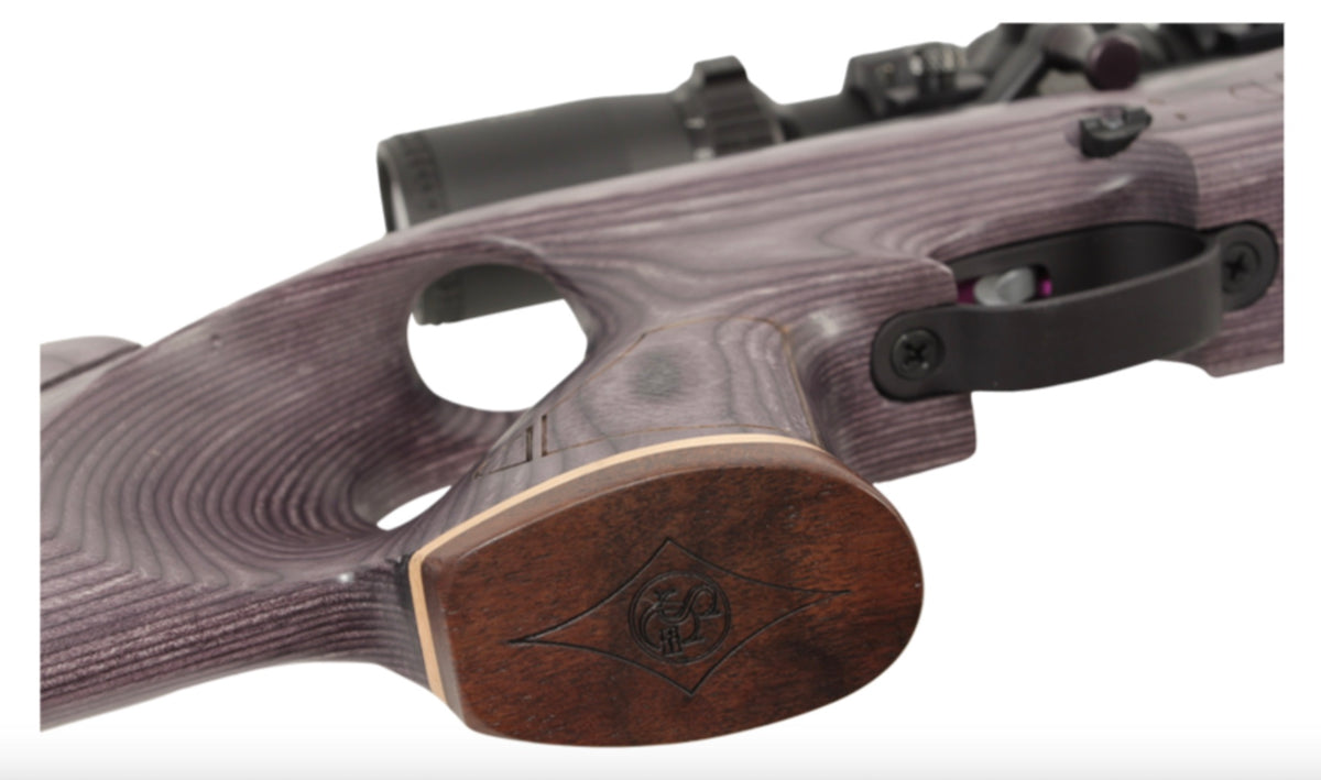 Paradigm Air Rifles American Air Arms Evol Paradigm .30 18
