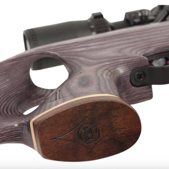 Paradigm Air Rifles American Air Arms Evol Paradigm .22 18