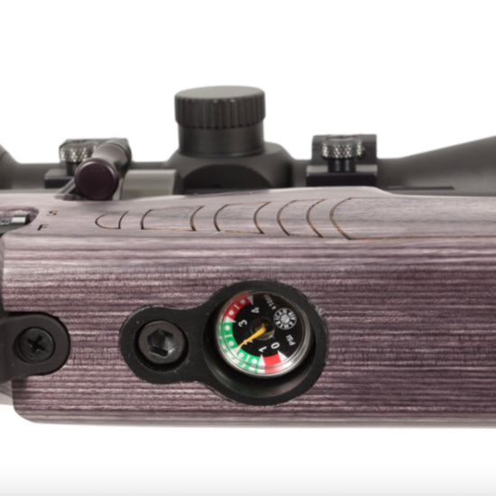 Paradigm Air Rifles American Air Arms Evol Paradigm .22 18