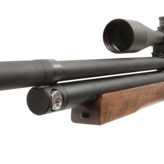 Paradigm Air Rifles American Air Arms Evol Paradigm .30 18