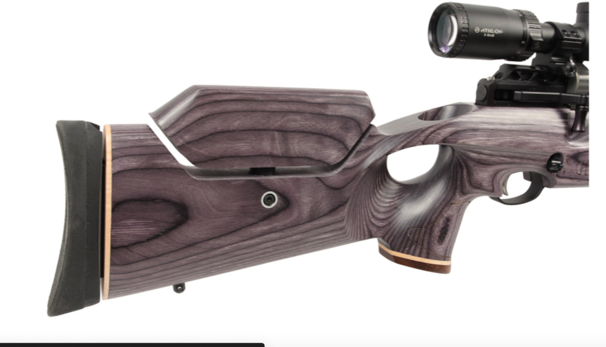 Paradigm Air Rifles American Air Arms Evol Paradigm .30 18