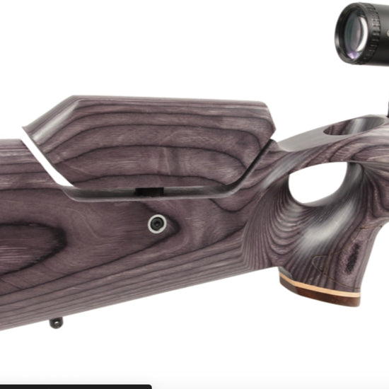Paradigm Air Rifles American Air Arms Evol Paradigm .22 18