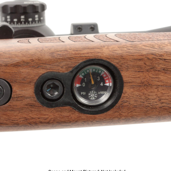 Paradigm Air Rifles American Air Arms Evol Paradigm .30 18
