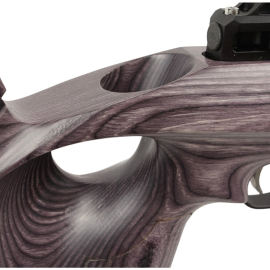 Paradigm Air Rifles American Air Arms Evol Paradigm .22 18