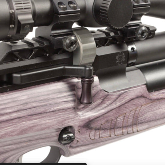 Paradigm Air Rifles American Air Arms Evol Paradigm .22 18