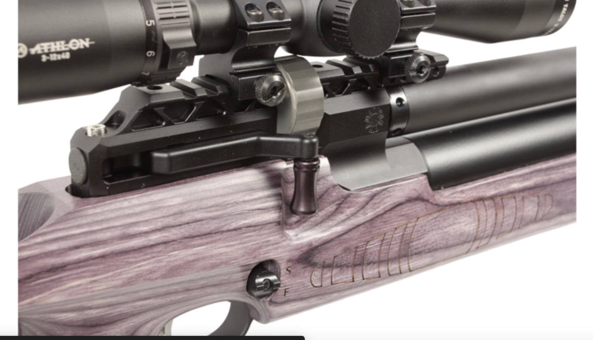 Paradigm Air Rifles American Air Arms Evol Paradigm .22 18