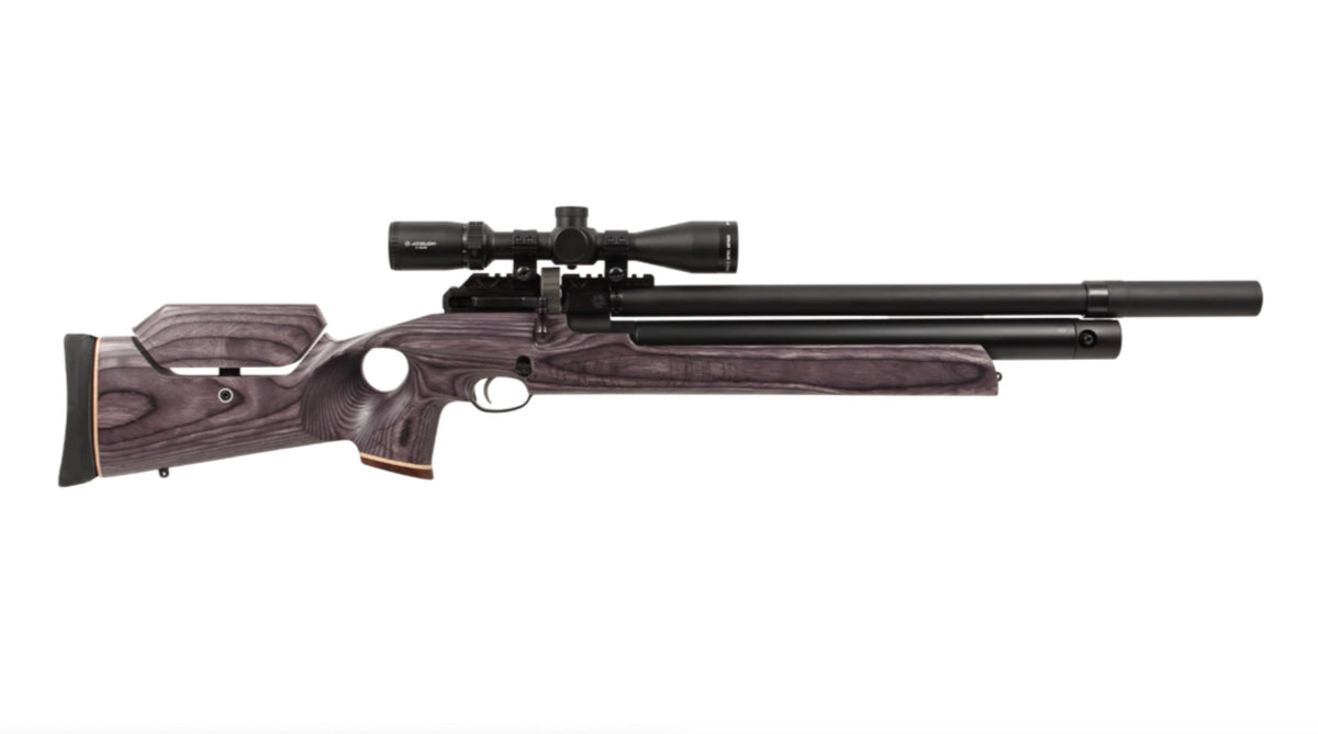 Paradigm Air Rifles American Air Arms Evol Paradigm .30 18